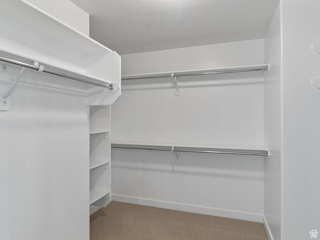 162 N Mia Cv Unit 16, Saratoga Springs, UT 84045 - walk in closet with carpet flooring