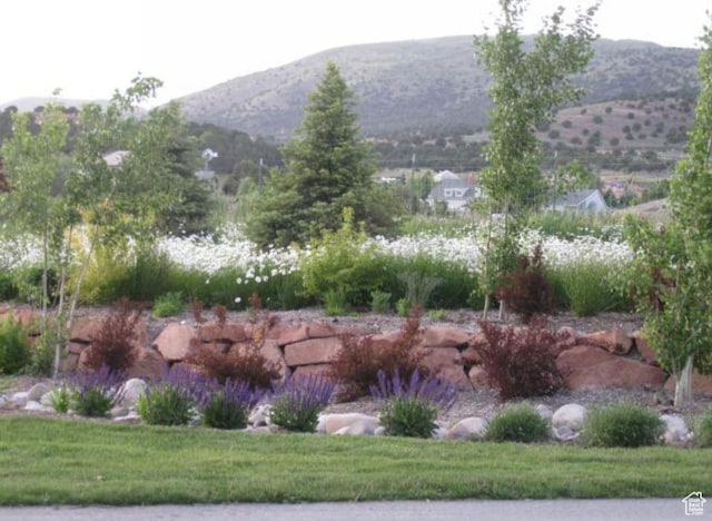 3131 E Lindsay Spring Rd, Heber City, UT 84032 - property view of mountains