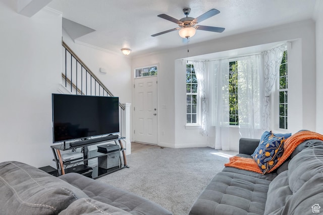 carpeted living area featuring ornamental molding, ceiling fan, stairway, and baseboards