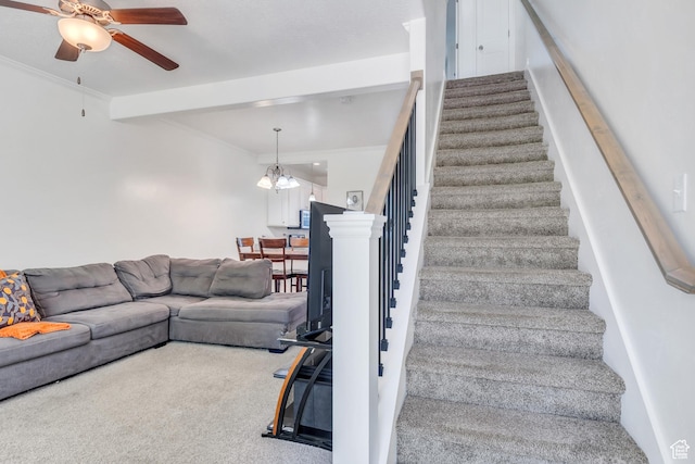 staircase featuring ornamental molding, carpet floors, beamed ceiling, and ceiling fan with notable chandelier