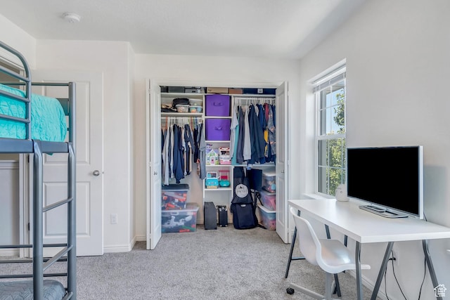 office space with carpet