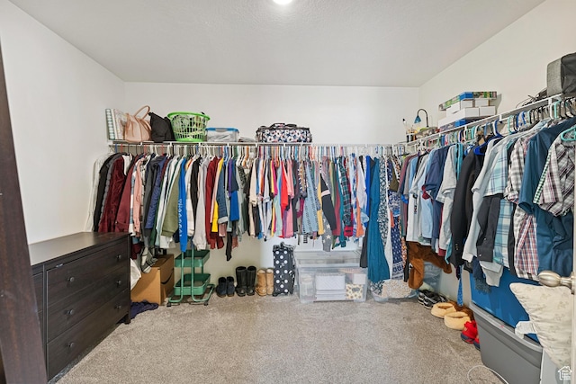 4687 E Jordan Way, Eagle Mountain, UT 84005 - walk in closet with carpet