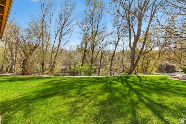 1021 E Riverbend Ln S, Ogden, UT 84404 - view of yard