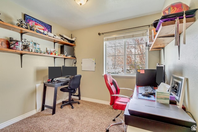1021 E Riverbend Ln S, Ogden, UT 84404 - office featuring carpet flooring and baseboards