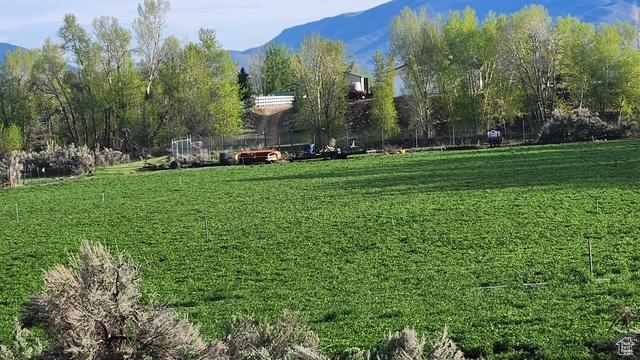 view of home's community with a yard and a mountain view