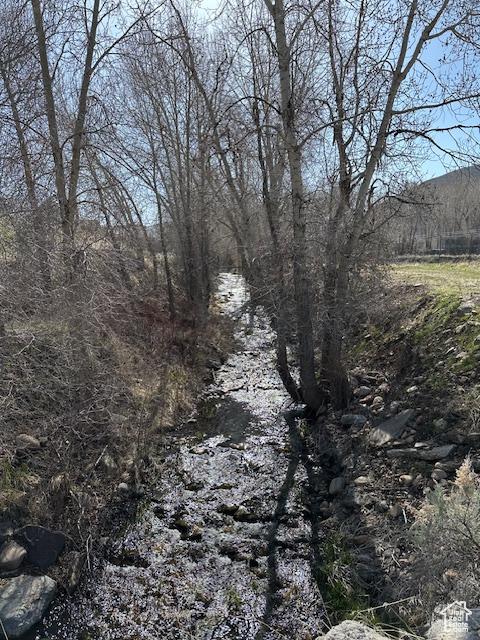 view of nature