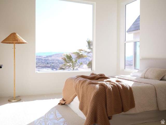 bedroom featuring carpet floors