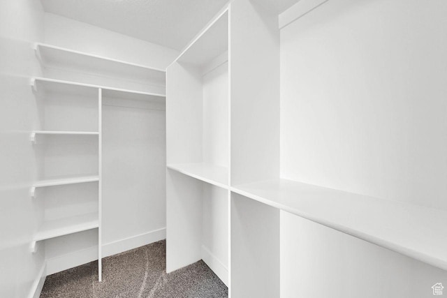 3005 W 3300 S, West Haven, UT 84401 - spacious closet featuring carpet floors
