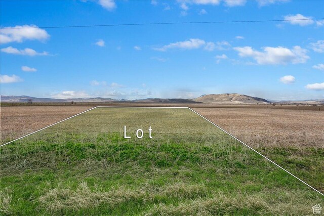 7965 N 2400 W Unit 2B, Amalga, UT 84335 - photo 6