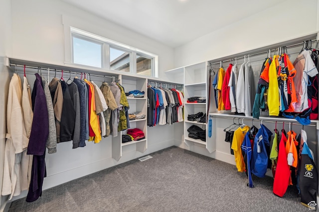 11285 N Shoreline Ct, Hideout, UT 84036 - spacious closet featuring visible vents and carpet flooring
