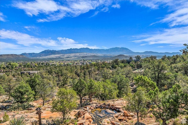 view of mountain feature featuring a wooded view