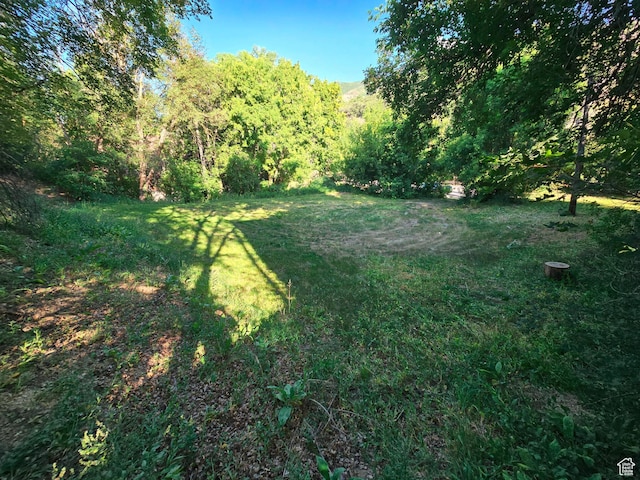 5240 E Emigration Rd, Salt Lake City, UT 84108 - photo 1