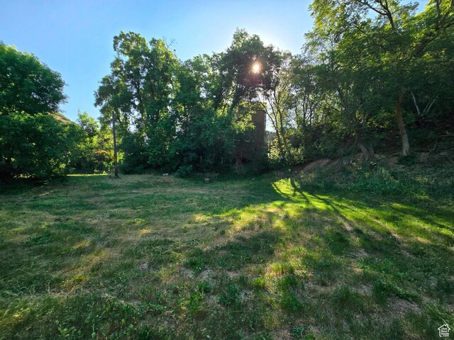 5240 E Emigration Rd, Salt Lake City, UT 84108 - photo 3