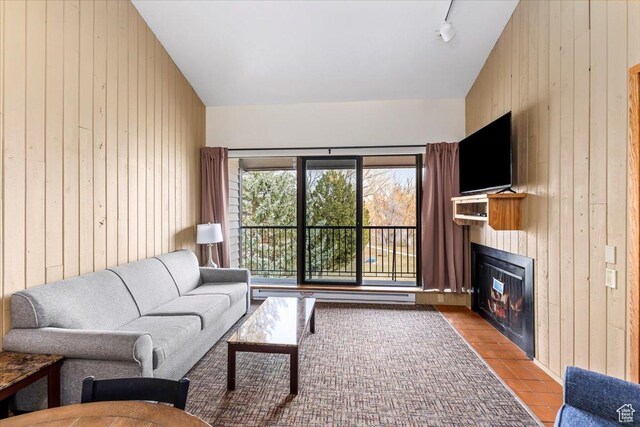 2176 S Bear Blvd, Garden City, UT 84028 - living area featuring rail lighting, wooden walls, a glass covered fireplace, and lofted ceiling