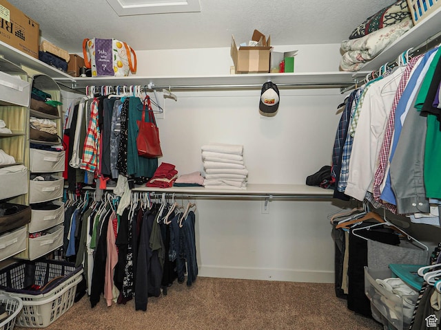 8092 W Rock Creek Cove Ln, Eagle Mountain, UT 84005 - spacious closet with carpet floors
