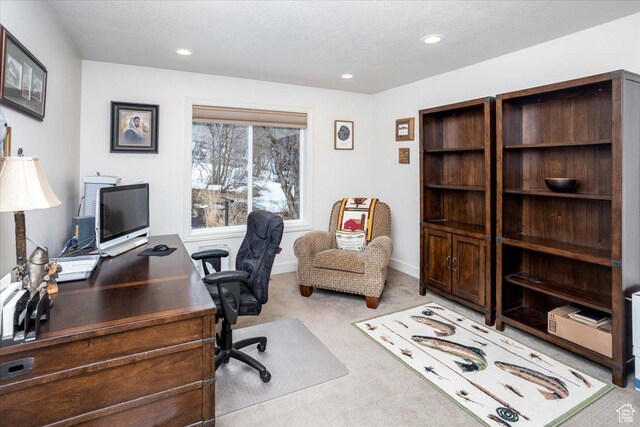 1510 S Mahogany Dr, Garden City, UT 84028 - carpeted office space featuring baseboards and recessed lighting