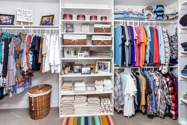 1510 S Mahogany Dr, Garden City, UT 84028 - walk in closet featuring carpet flooring