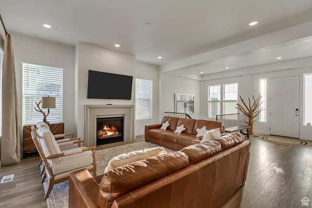 1919 S Sawmill Blvd E, Heber City, UT 84032 - living room featuring recessed lighting, a glass covered fireplace, and light wood-style floors