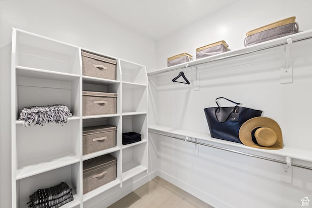 1026 W Chokecherry Dr Unit 135, Mapleton, UT 84664 - walk in closet with light wood-style flooring