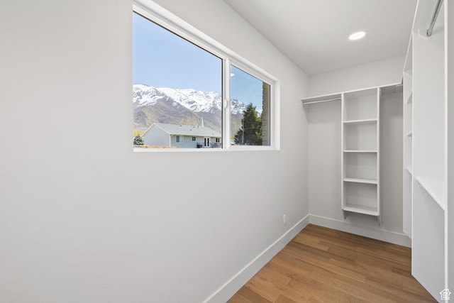 205 S Highland Dr, Santaquin, UT 84655 - walk in closet with wood finished floors