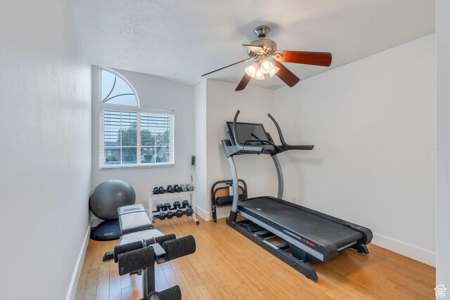 996 W 1340 N, Orem, UT 84057 - exercise room with ceiling fan, baseboards, and wood finished floors