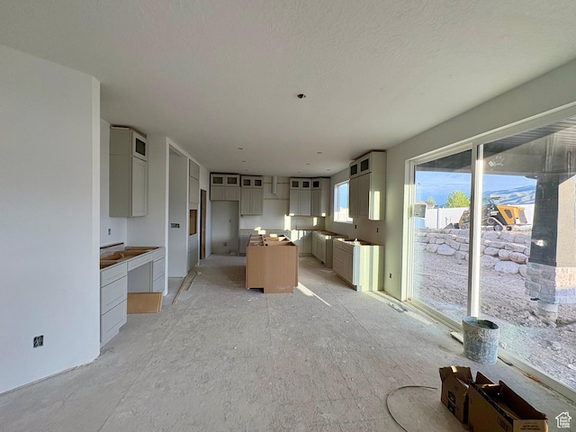 341 N Barlow Ct, Saratoga Springs, UT 84045 - kitchen featuring a kitchen island and glass insert cabinets