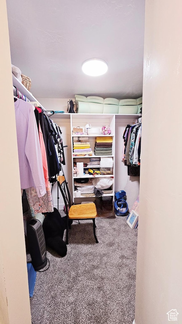 1018 N 3500 W, Vernal, UT 84078 - walk in closet with carpet floors