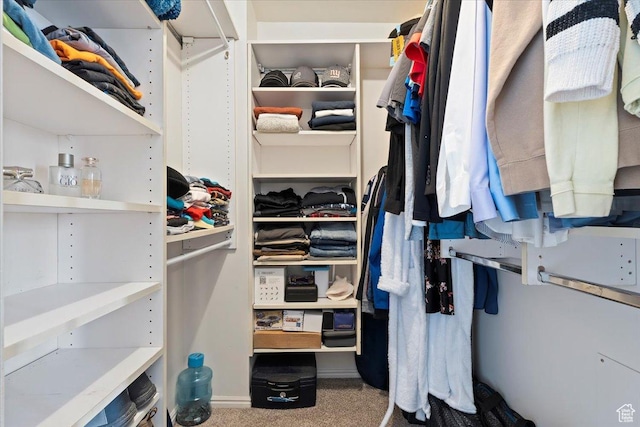 14883 S 3200 W, Bluffdale, UT 84065 - walk in closet with carpet flooring