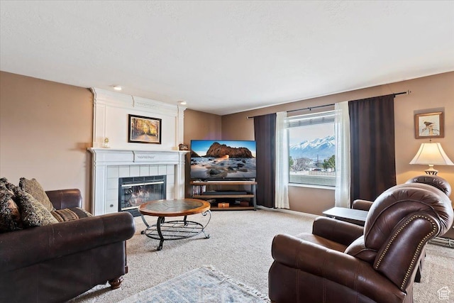 14883 S 3200 W, Bluffdale, UT 84065 - living room with a fireplace and carpet