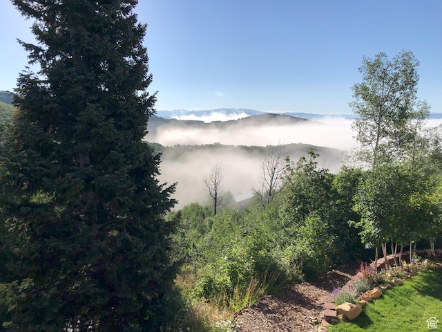 10129 N Basin Canyon Rd, Park City, UT 84098 - view of mountain background