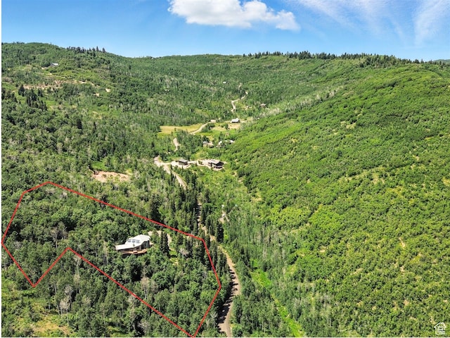 10129 N Basin Canyon Rd, Park City, UT 84098 - photo 69