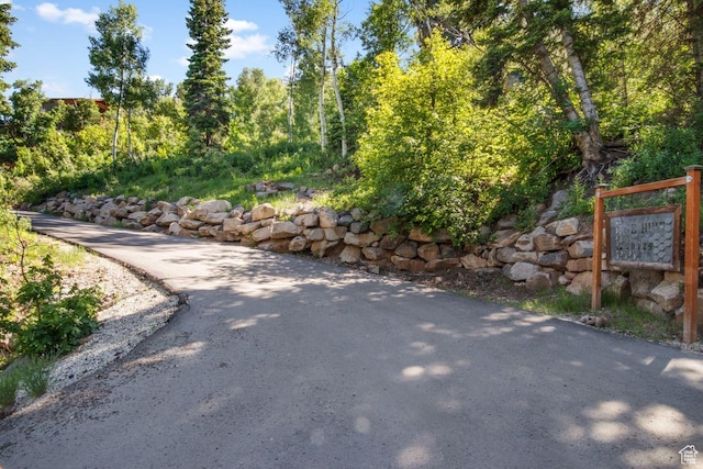 10129 N Basin Canyon Rd, Park City, UT 84098 - view of road