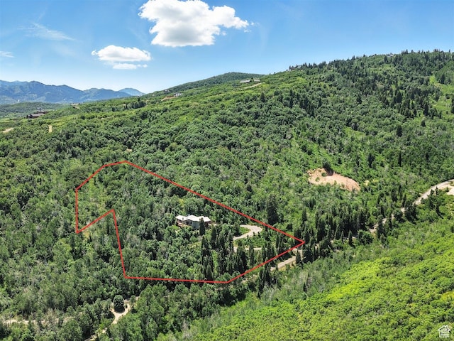10129 N Basin Canyon Rd, Park City, UT 84098 - photo 68