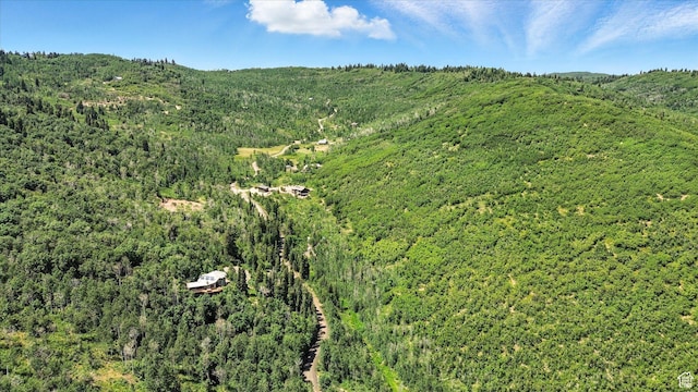 10129 N Basin Canyon Rd, Park City, UT 84098 - photo 59