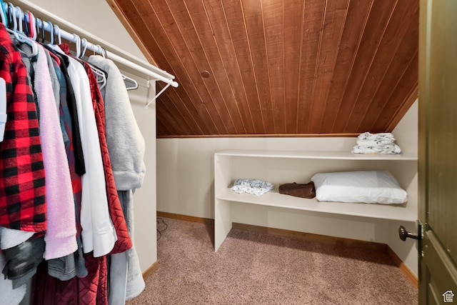 4100 Buck Way Unit 1947, Heber City, UT 84032 - spacious closet with carpet floors and vaulted ceiling