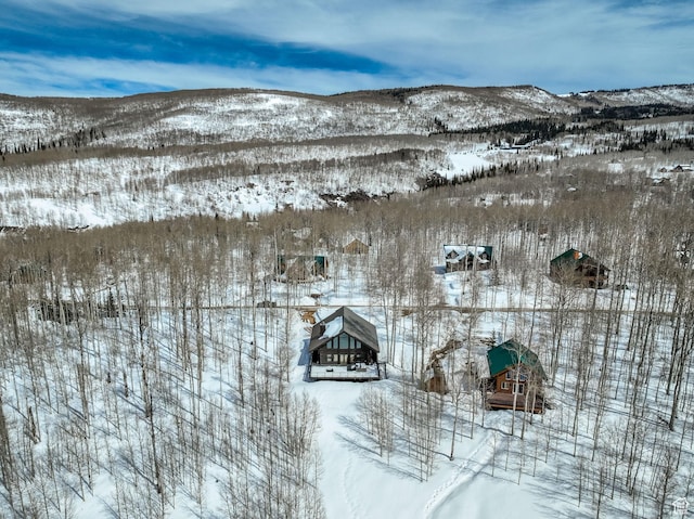 4100 Buck Way Unit 1947, Heber City, UT 84032 - details featuring a mountain view
