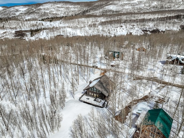4100 Buck Way Unit 1947, Heber City, UT 84032 - snowy aerial view featuring a mountain view