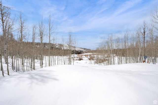 4100 Buck Way Unit 1947, Heber City, UT 84032 - view of snowy yard