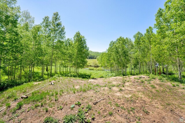 4100 Buck Way Unit 1947, Heber City, UT 84032 - photo 32