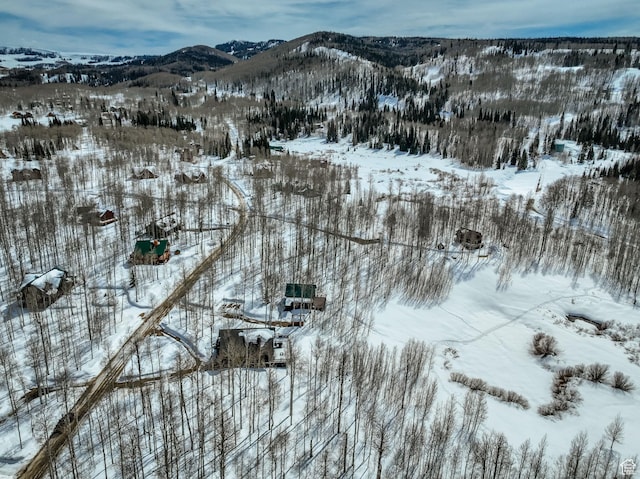 4100 Buck Way Unit 1947, Heber City, UT 84032 - snowy aerial view featuring a mountain view