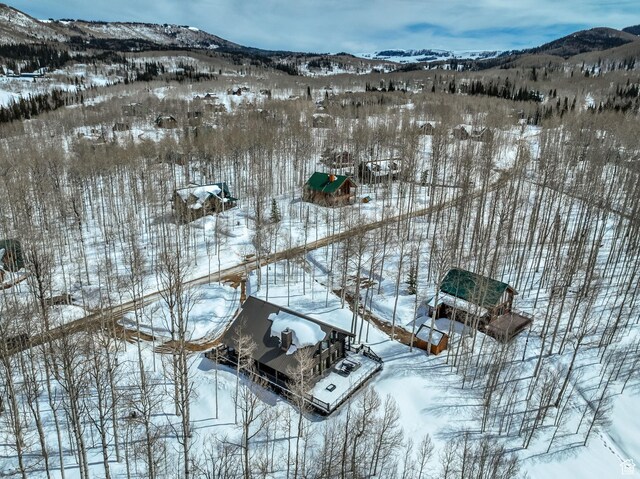 4100 Buck Way Unit 1947, Heber City, UT 84032 - snowy aerial view featuring a mountain view