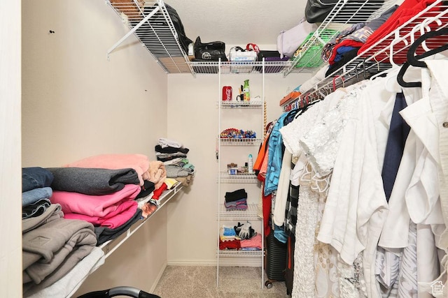 spacious closet with carpet floors