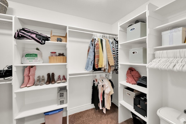 spacious closet with carpet