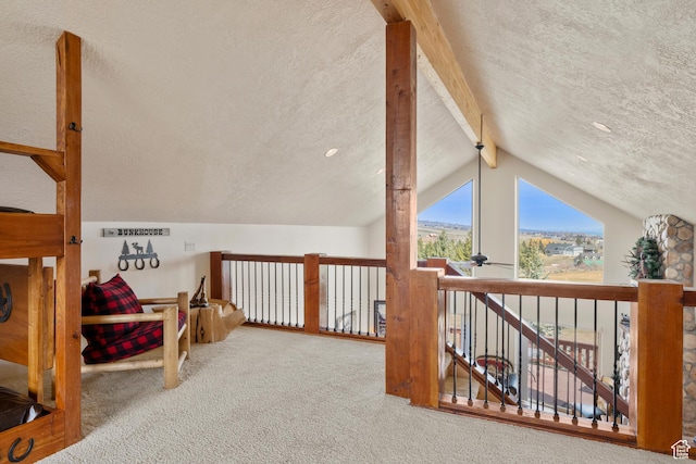 17 Wedge Way, Garden City, UT 84028 - bonus room with a textured ceiling, carpet, ceiling fan, and vaulted ceiling