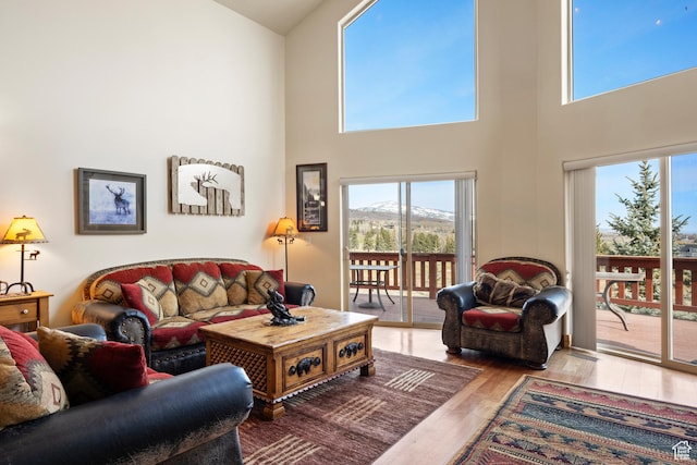 17 Wedge Way, Garden City, UT 84028 - living area with wood finished floors, healthy amount of natural light, and a high ceiling