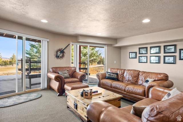 17 Wedge Way, Garden City, UT 84028 - carpeted living room featuring a textured ceiling and recessed lighting