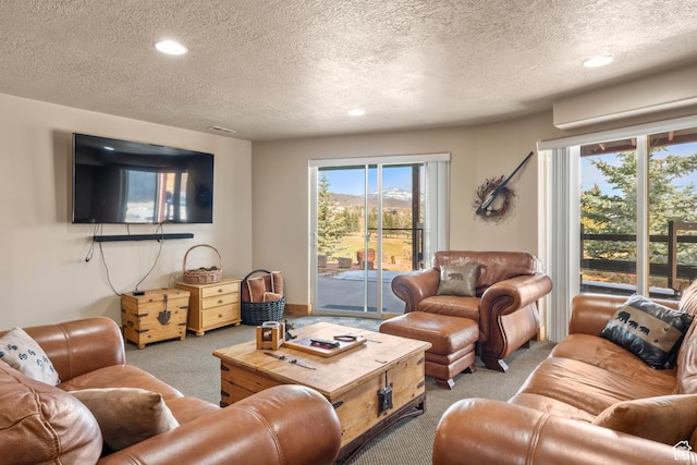 17 Wedge Way, Garden City, UT 84028 - carpeted living room with a textured ceiling and recessed lighting