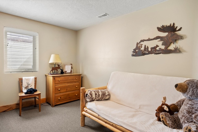 17 Wedge Way, Garden City, UT 84028 - living area featuring light carpet and a textured ceiling
