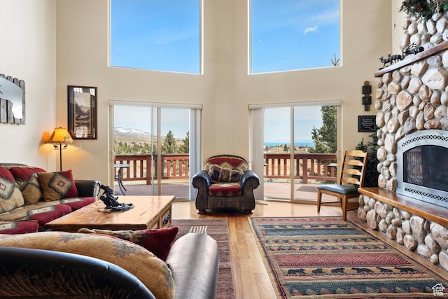 17 Wedge Way, Garden City, UT 84028 - living area with heating unit, wood finished floors, a high ceiling, plenty of natural light, and a stone fireplace