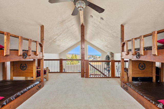 17 Wedge Way, Garden City, UT 84028 - sitting room with a ceiling fan, carpet flooring, and a textured ceiling